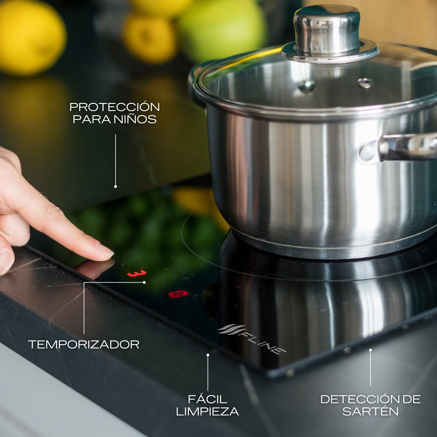 Parrilla de Inducción Magnética Empotrable 2 Quemadores 1500W 110v | Belfast  2