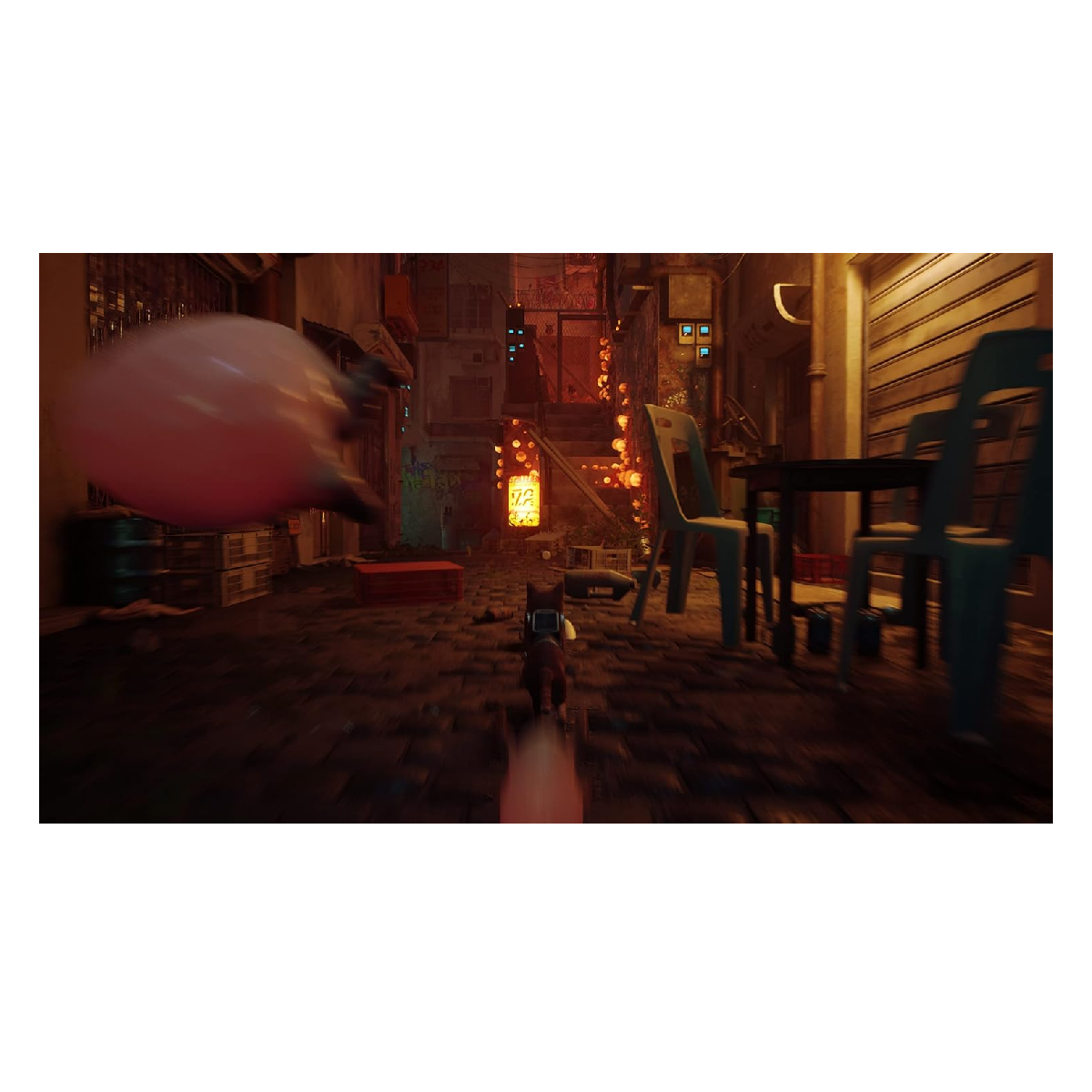 PS5 Juego Stray
