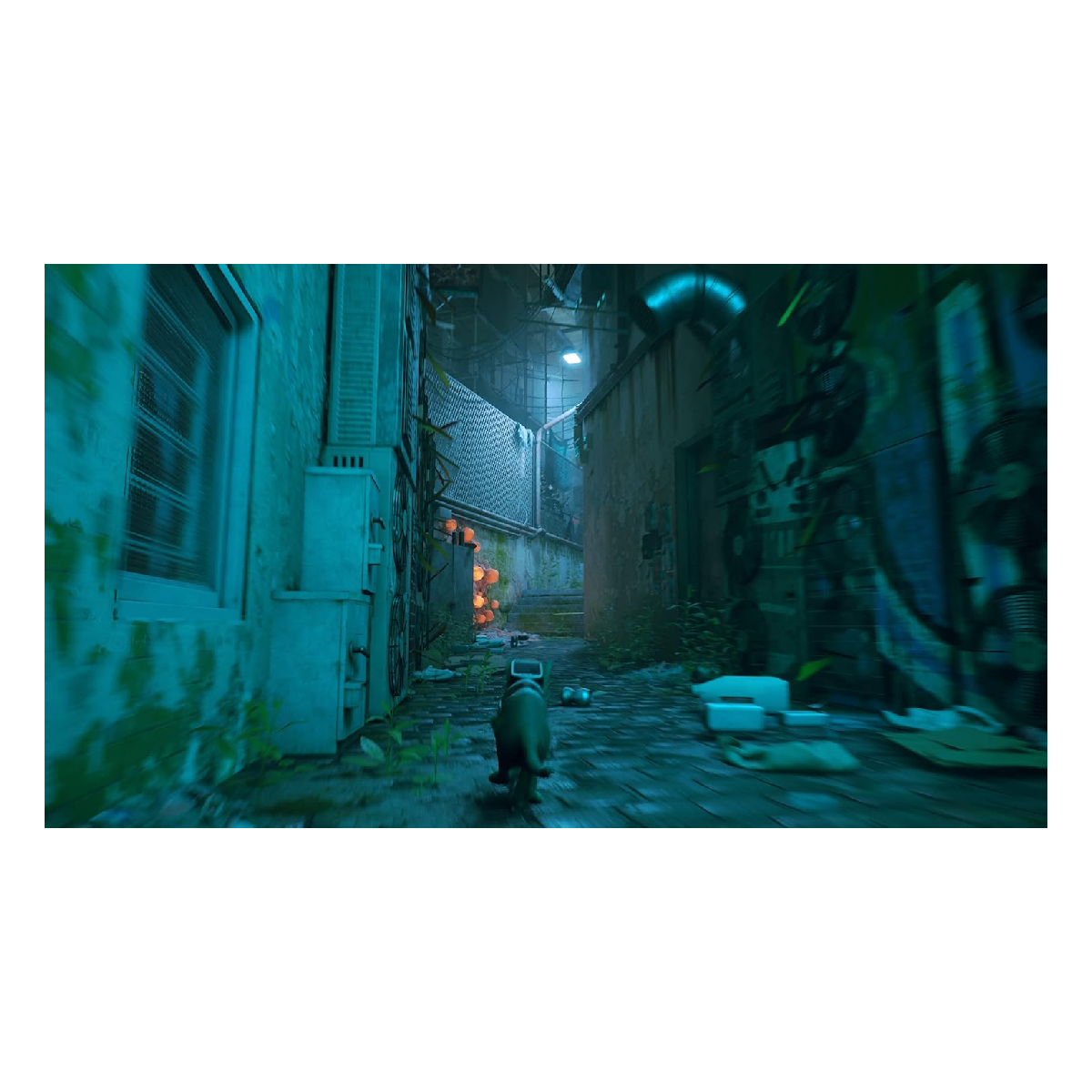 PS5 Juego Stray