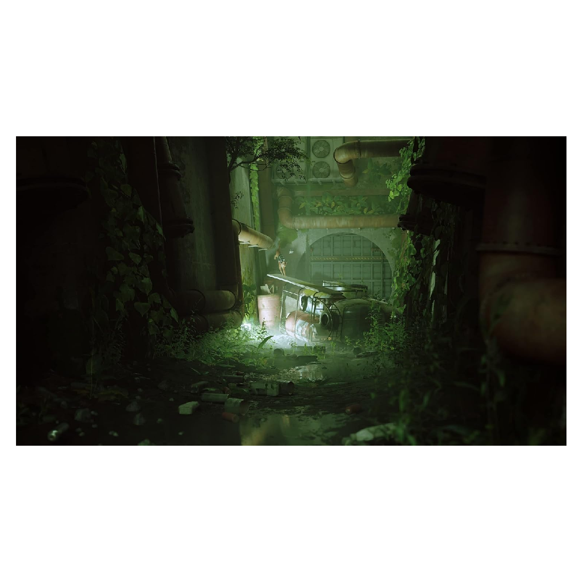 PS5 Juego Stray