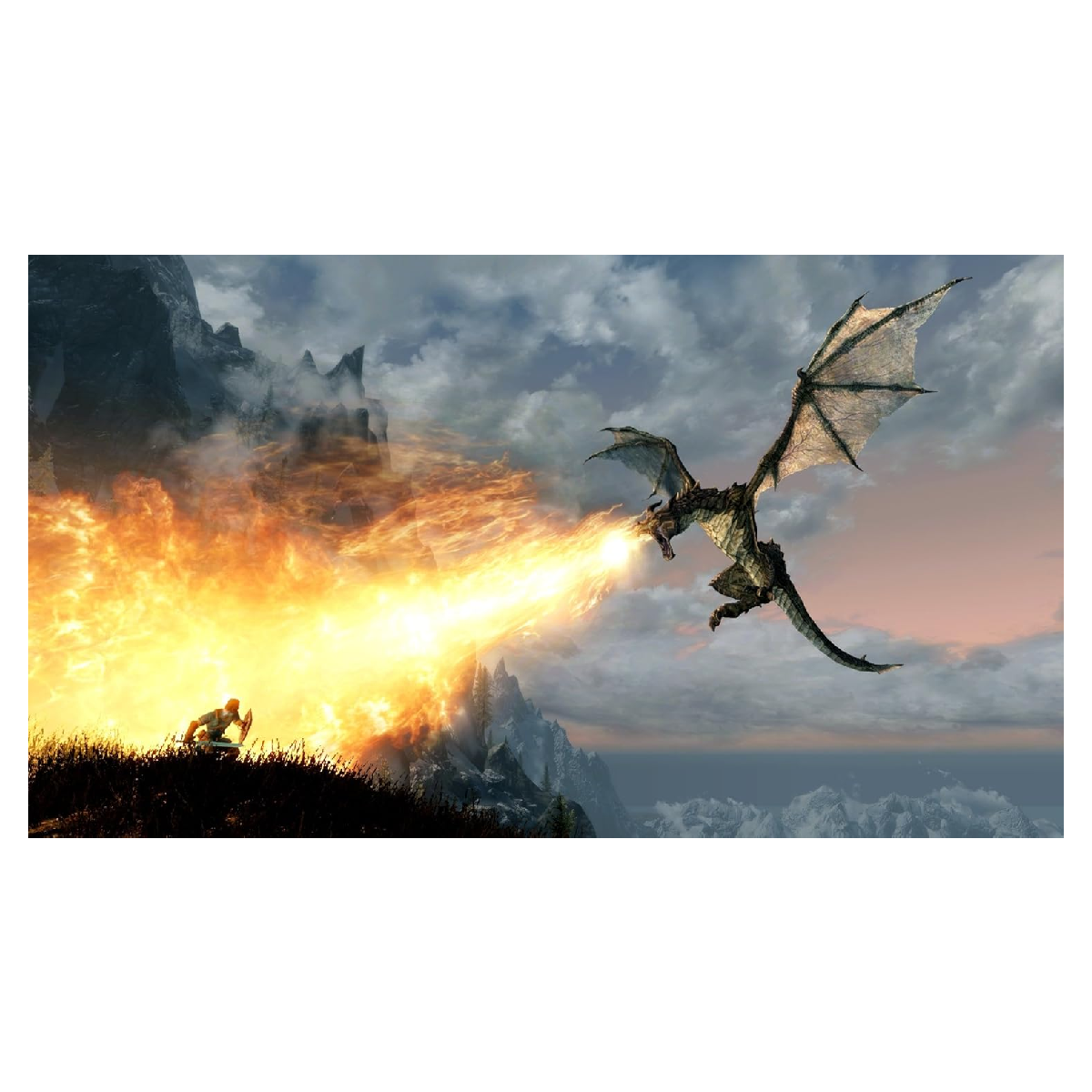 Nintendo Switch Juego The Elder Scrolls Skyrim
