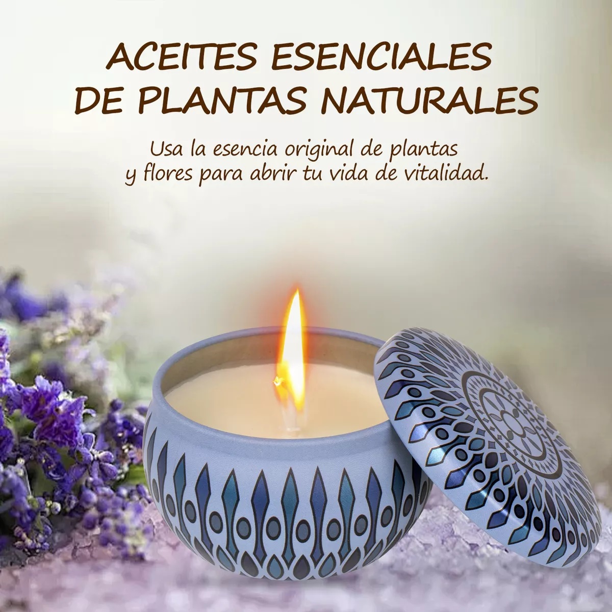 Juego De Velas Aromáticas De Cera De Soja De 6 Pieza
