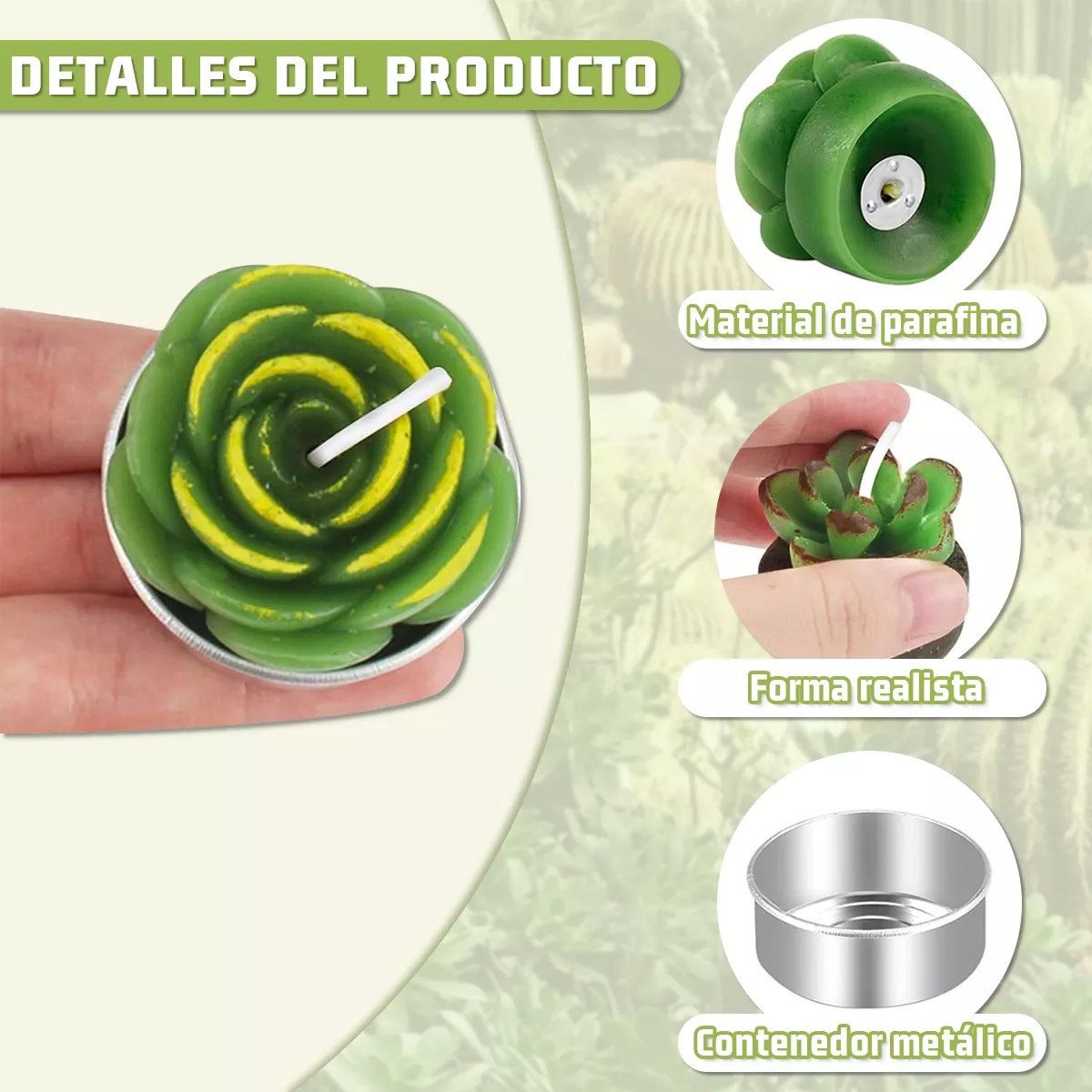 24pcs Velas Decorativas De Cactus Suculentas Verde Con Bolsa