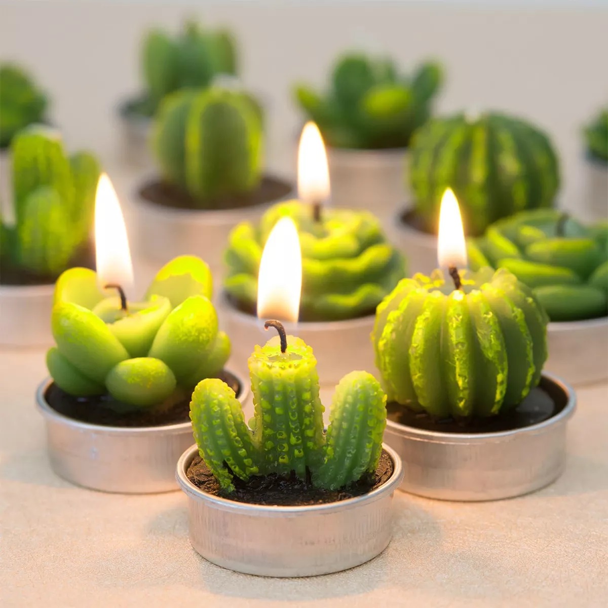 24pcs Velas Decorativas De Cactus Suculentas Verde Con Bolsa