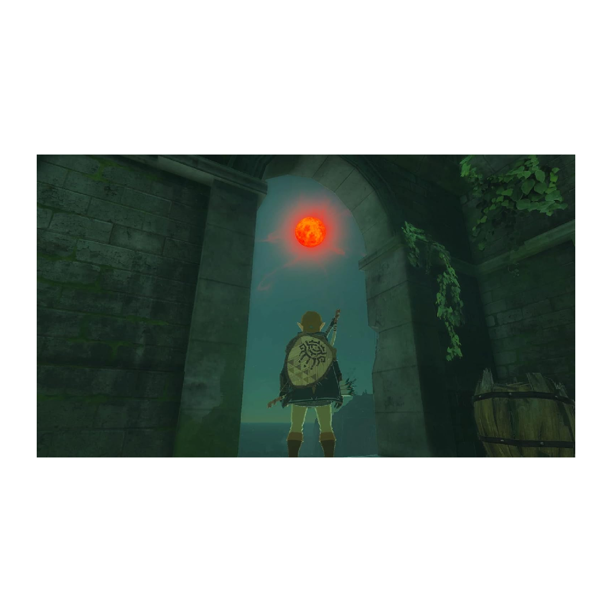 Nintendo Switch Juego The Legend of Zelda Tears of the Kingdom