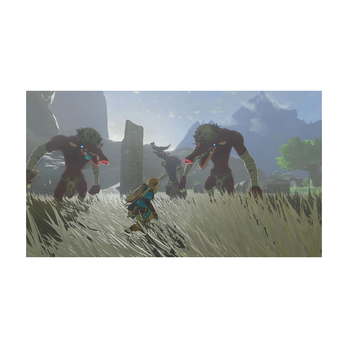 Nintendo Switch Juego The Legend of Zelda Tears of the Kingdom