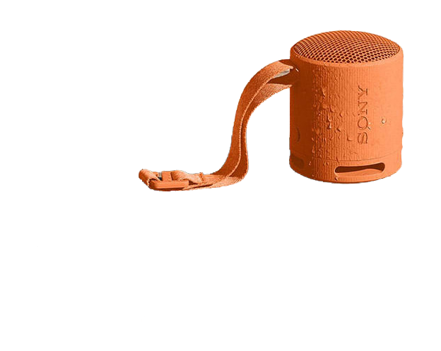 Bocina Sony Srs-xb100 Inalámbrica Portátil Anaranjada