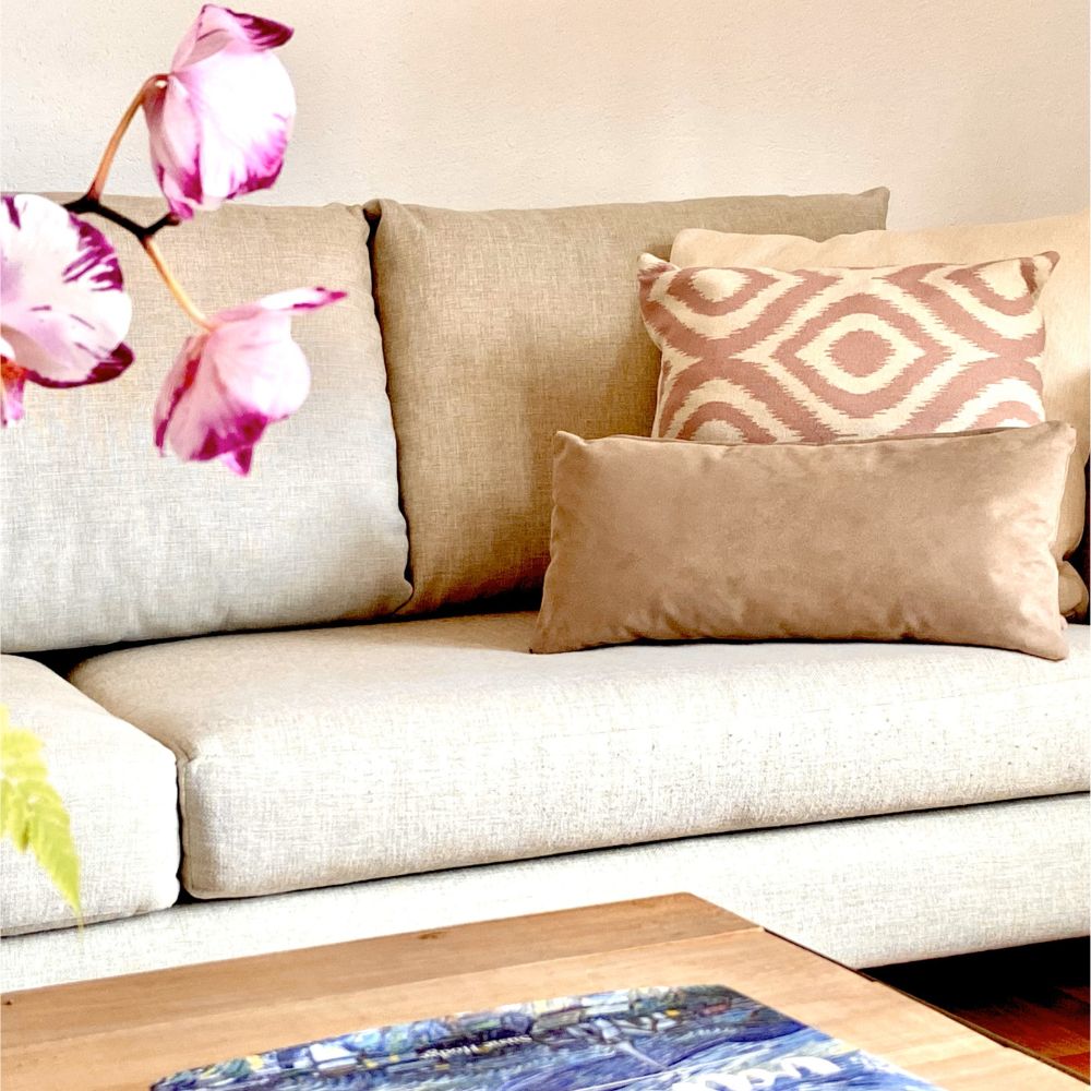 Cojines Rectangulares Decorativos de Terciopelo, con Cierre y Funda Interior, EDELWEISS  para un Toque de Elegancia Beige  2 piezas