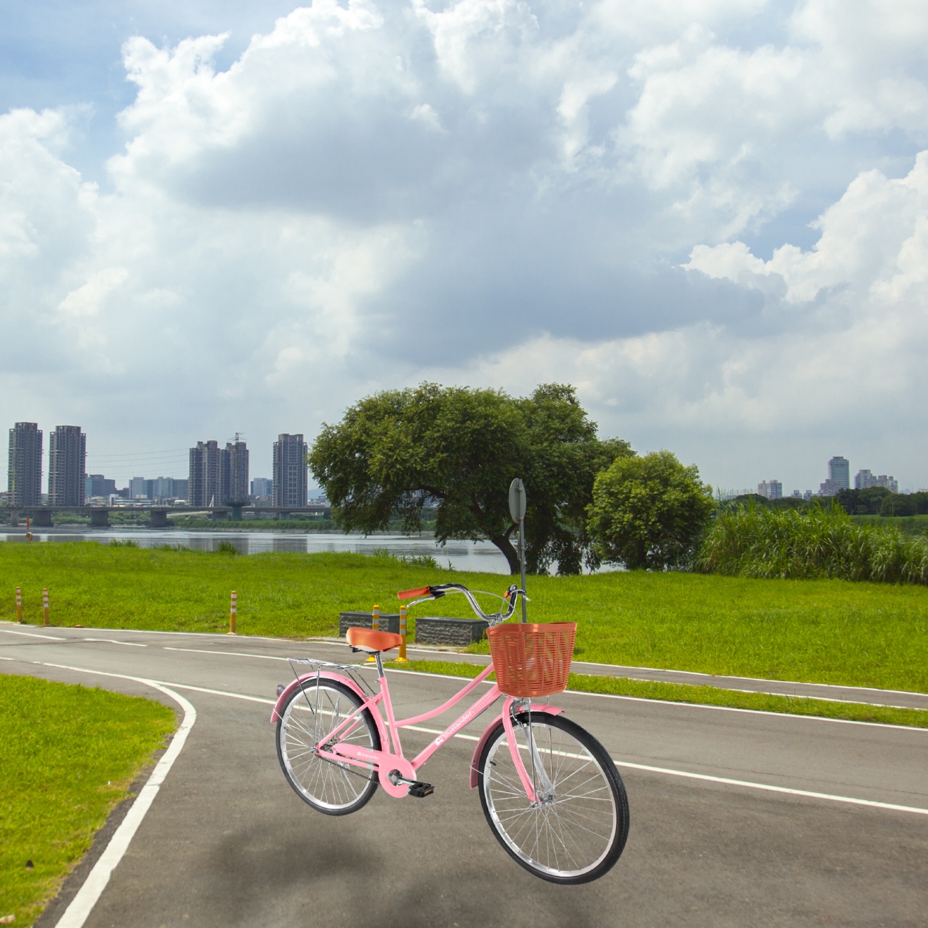 Bicicleta Urbana Rodada 26 con Canasta para Bicicleta para Adulto Rosa Bluelander