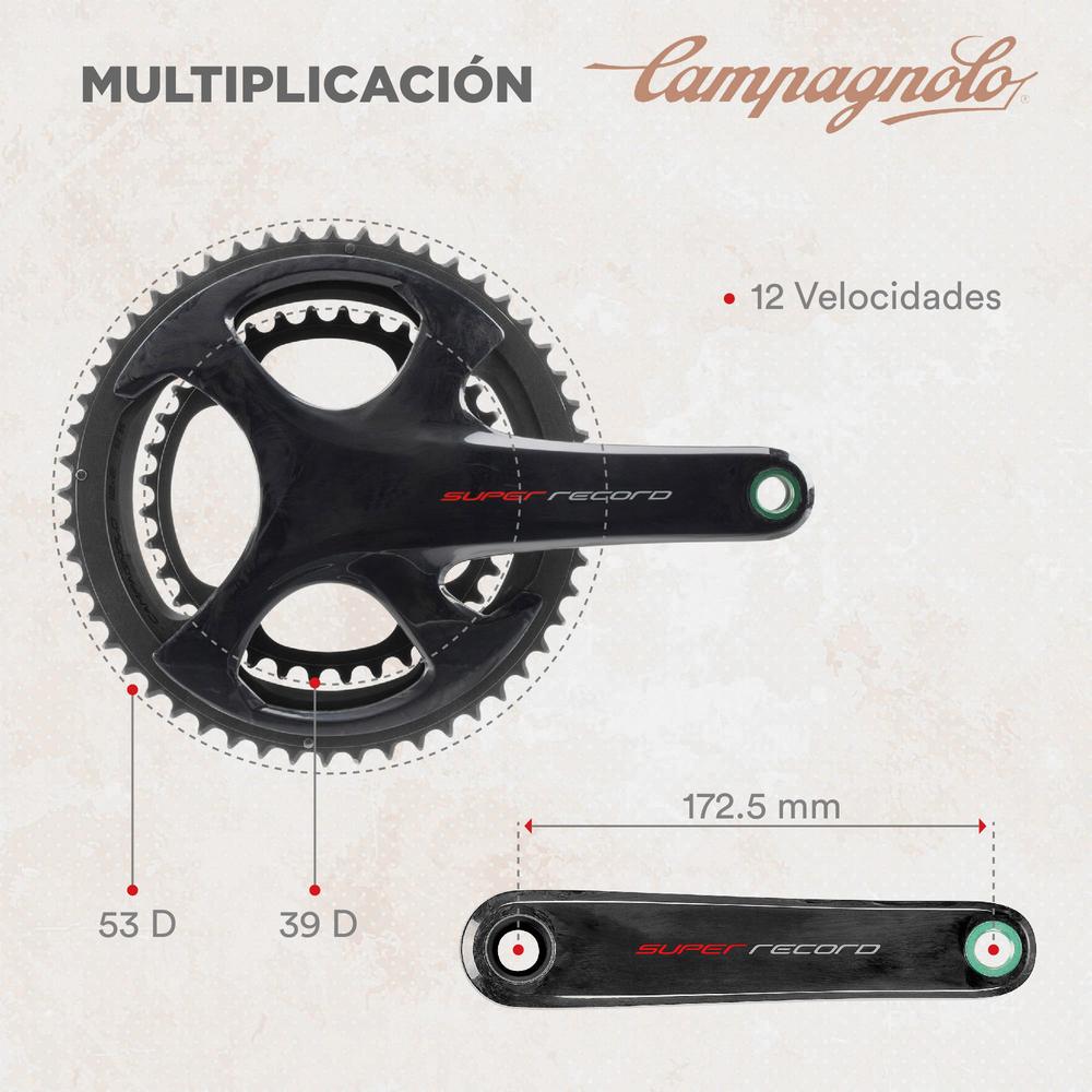 MICHE Corona bici interna a 5 bracci SUPERTYPE CAMPAGNOLO 9/10V 135 BCD