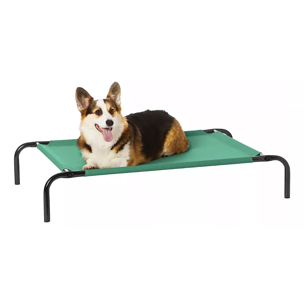 Cama Elevada Para Perro Mediano Resistente Portátil Color Verde