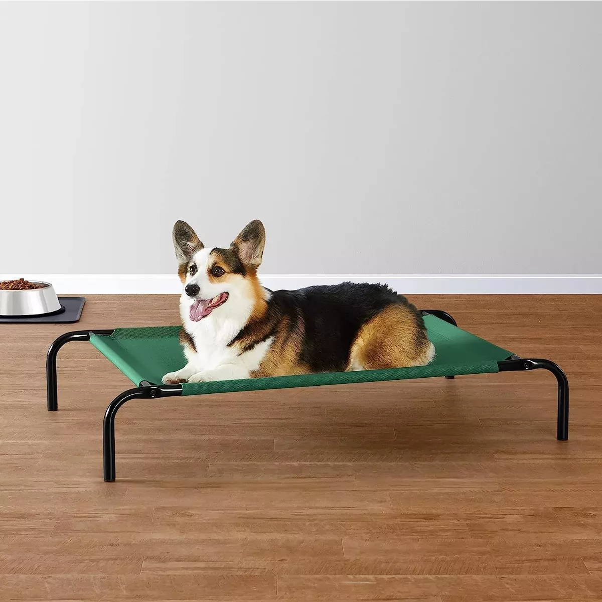 Cama Elevada Para Perro Mediano Resistente Portátil Color Verde