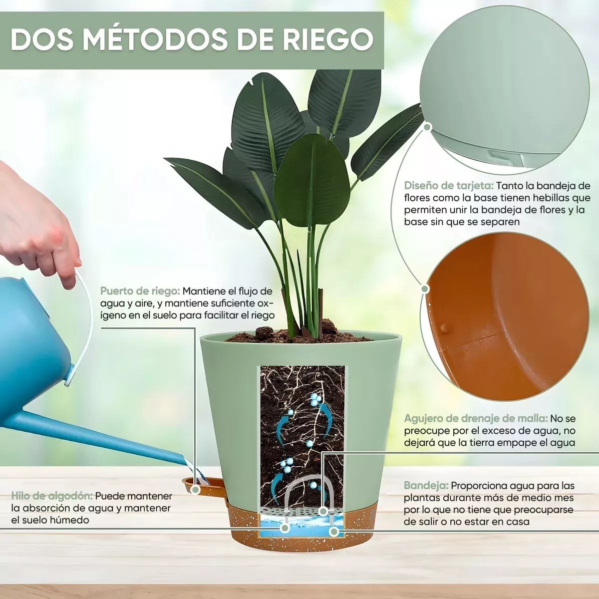 Set De 8 Planta Maceta De Plastico Con Riego Automático Agua