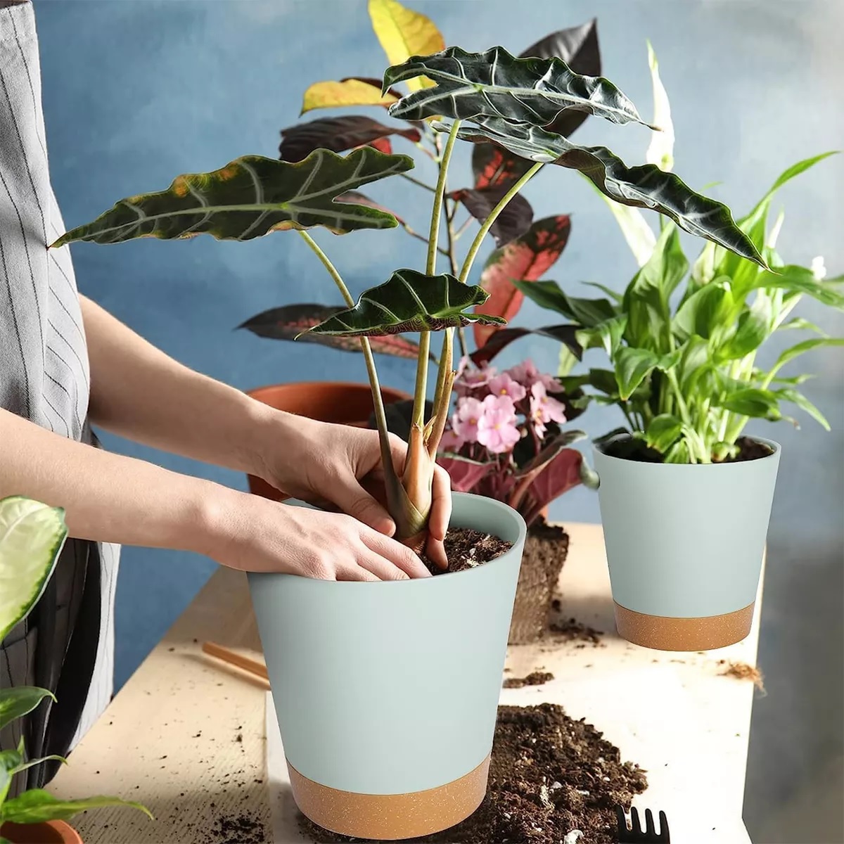 Set De 8 Planta Maceta De Plastico Con Riego Automático Agua