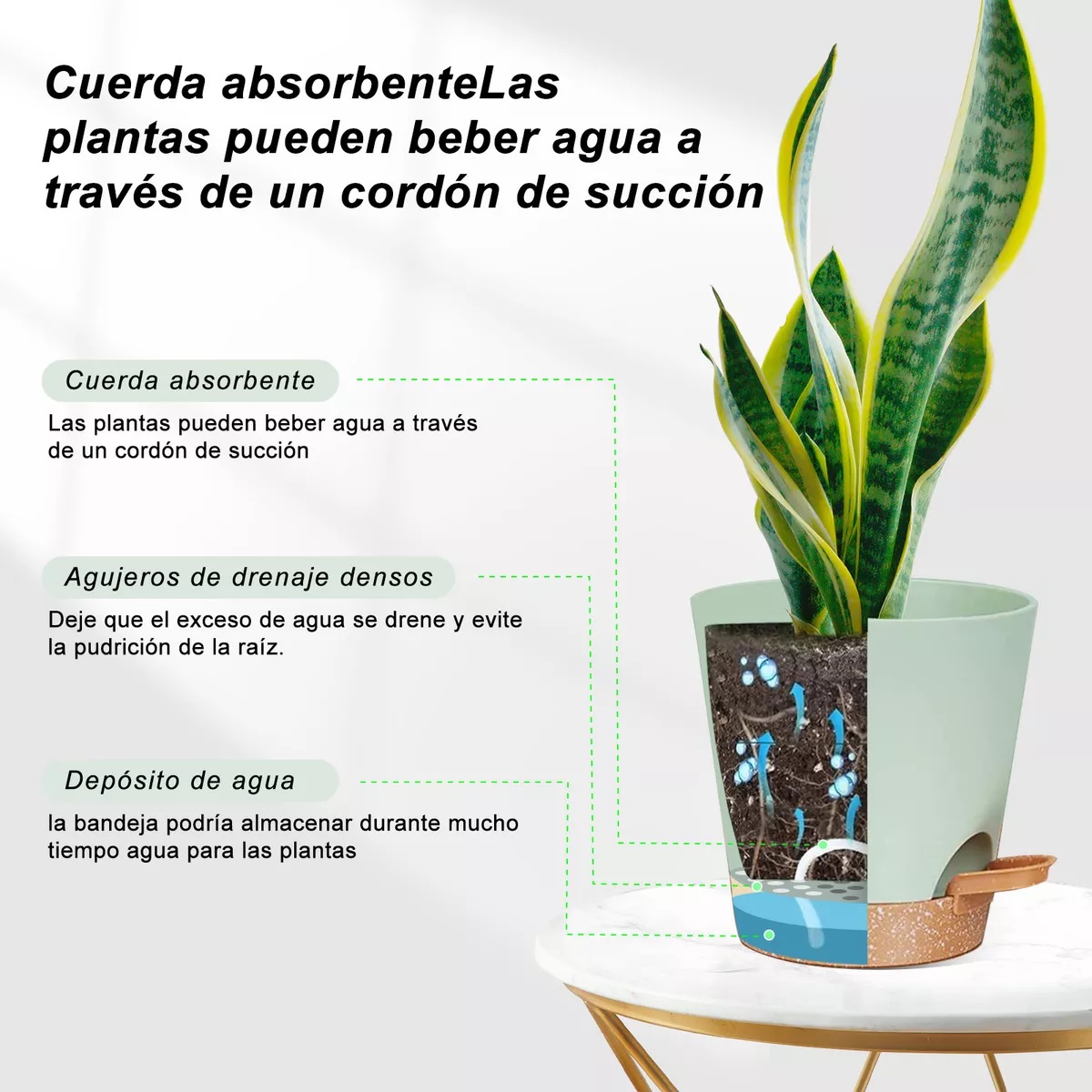 Set De 8 Planta Maceta De Plastico Con Riego Automático Agua