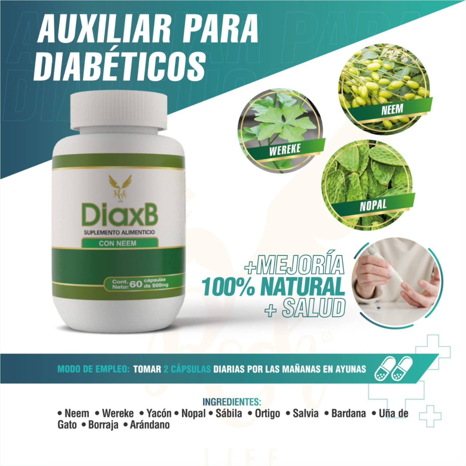 Diabetes Controla tu Glucosa Neem, Uña de gato, Sabila , Antideslizante, Arándano, Diaxb, suplemento alimenticio.