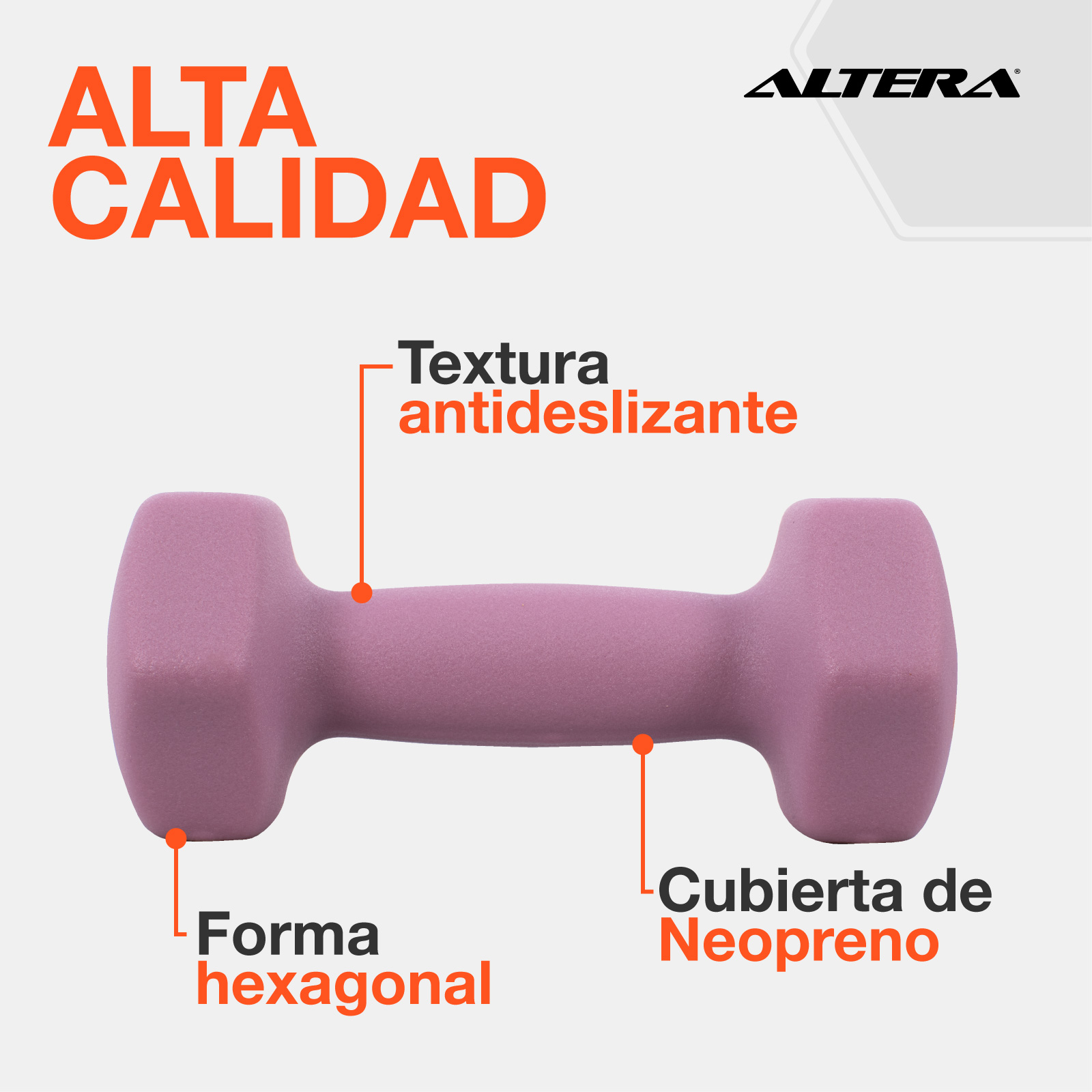 Mancuernas 20 Libras Altera Set De 6 Pesas Para Ejercicio