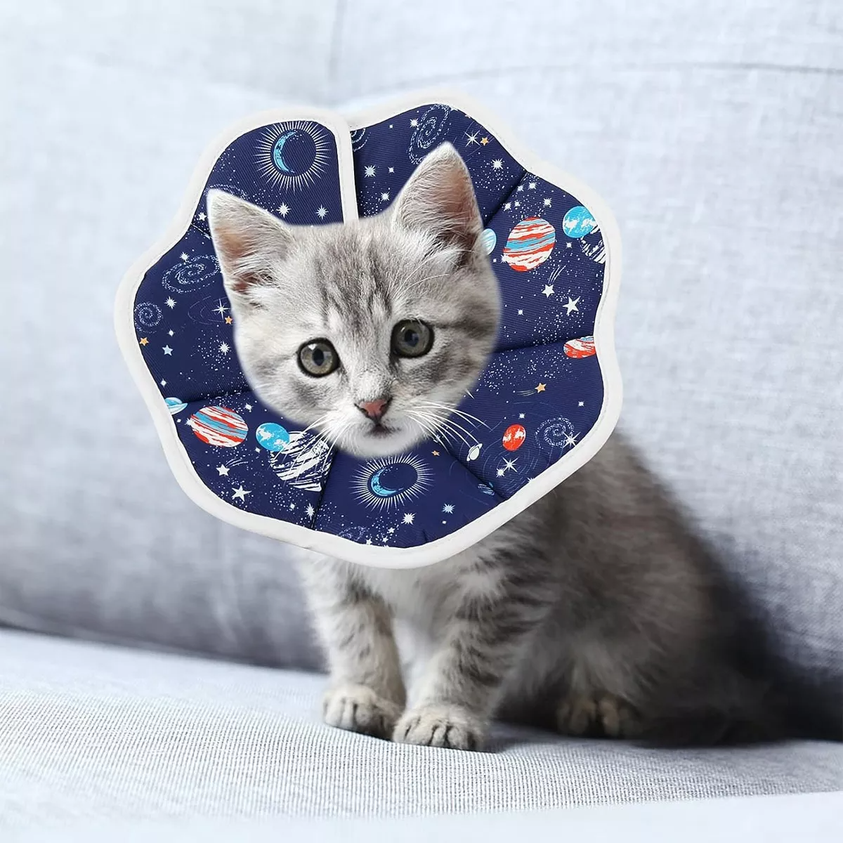 Collar Isabelino De Cono Para Mascotas Plegable Y Ajustable talla L