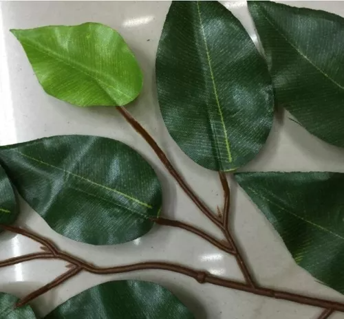24 Unidades Hojas Ramas Artificial Verde Follaje Ficus Decor