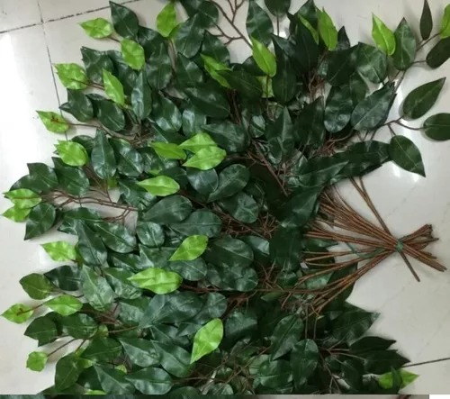 24 Unidades Hojas Ramas Artificial Verde Follaje Ficus Decor
