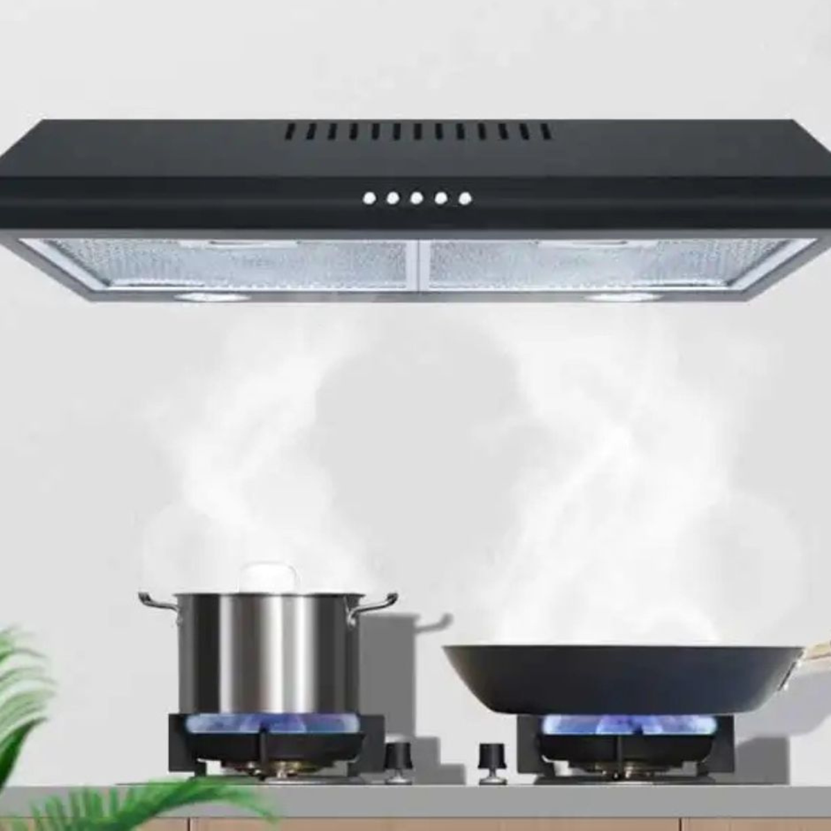 Campana Extractora de 60 cm para Cocina con Salida de Aire y Filtro de Carbón Activado Bluelander