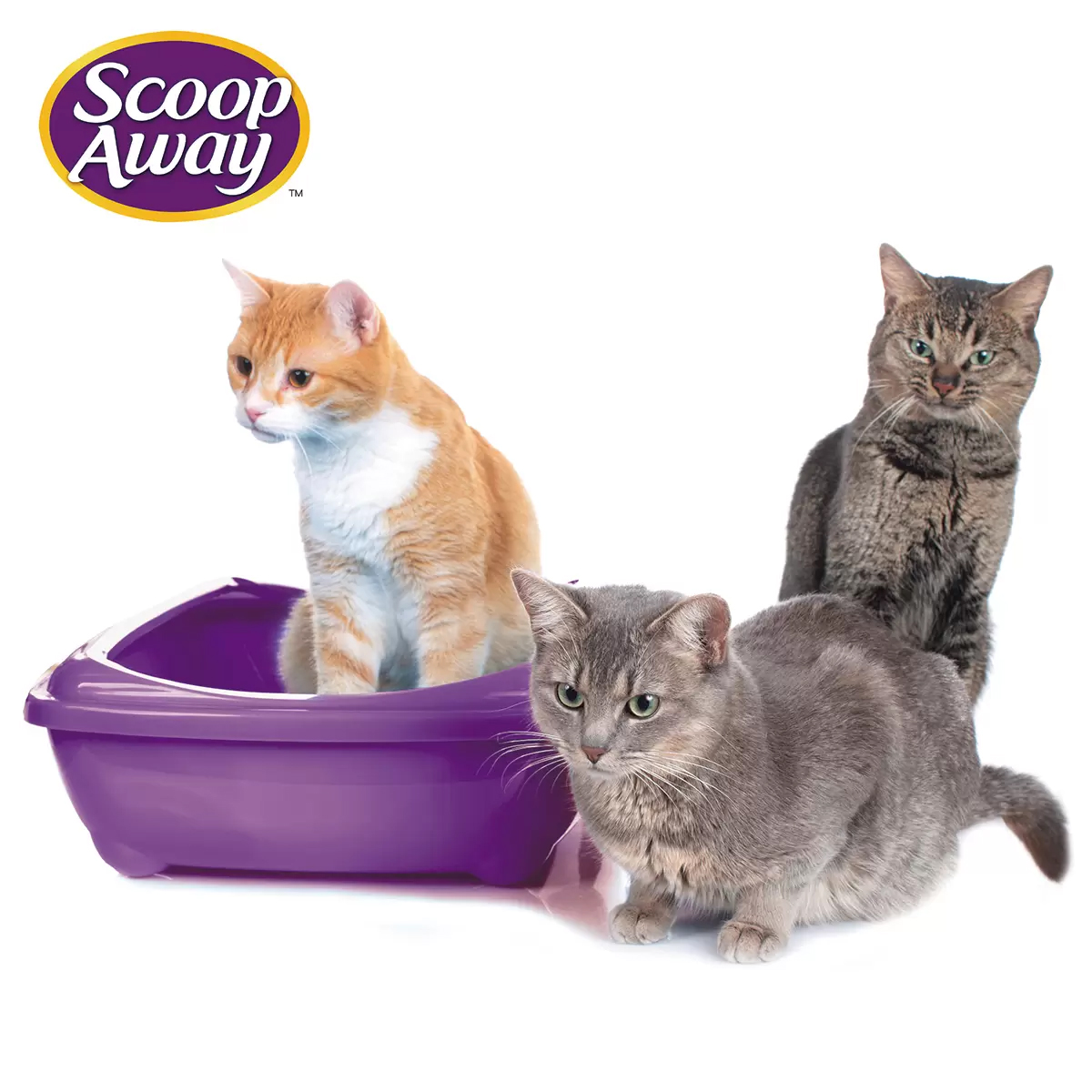 Arena Para Gato Scoop Away Complete Performance Plus 19kg