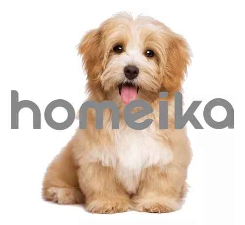 Kit De Aspiradora Y Rasuradora Aseo Para Perros Y Mascotas