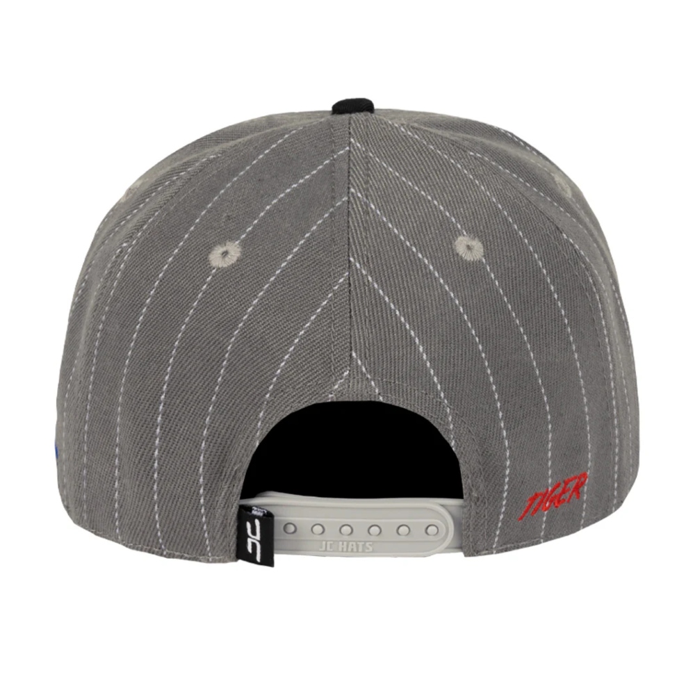 Gorra Jc Hats Tiger Gray Gris Unisex 003242 