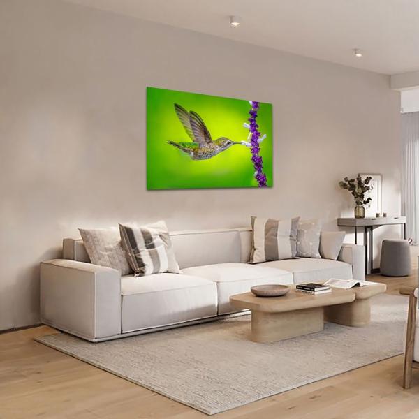 Cuadro Decorativo Canvas Colibrí volando Comiendo flores mopradas con fondo verde 120 X 80