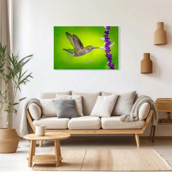 Cuadro Decorativo Canvas Colibrí volando Comiendo flores mopradas con fondo verde 120 X 80