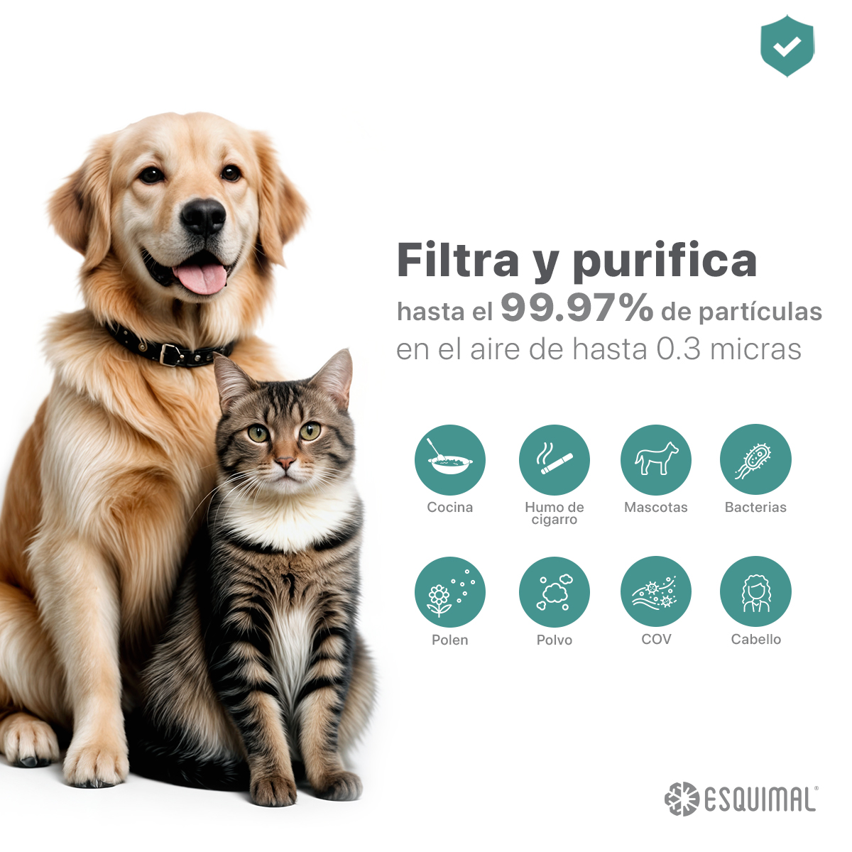 Filtro HEPA H13 Repuesto para Purificador de Aire con Carbón Activado. Atrapa Partículas, Polvo, Elimina Olores. Compatible con Ventilador Aero 1400 ESQUIMAL