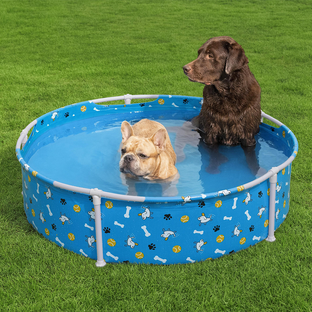 Alberca Para Mascotas Pscina Estructural Bestway Fetchin Fun