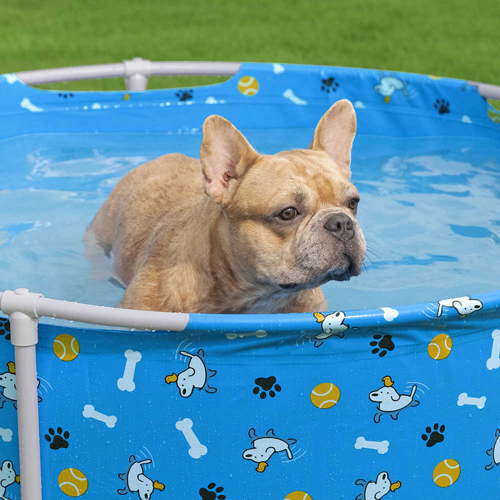 Alberca Para Mascotas Pscina Estructural Bestway Fetchin Fun
