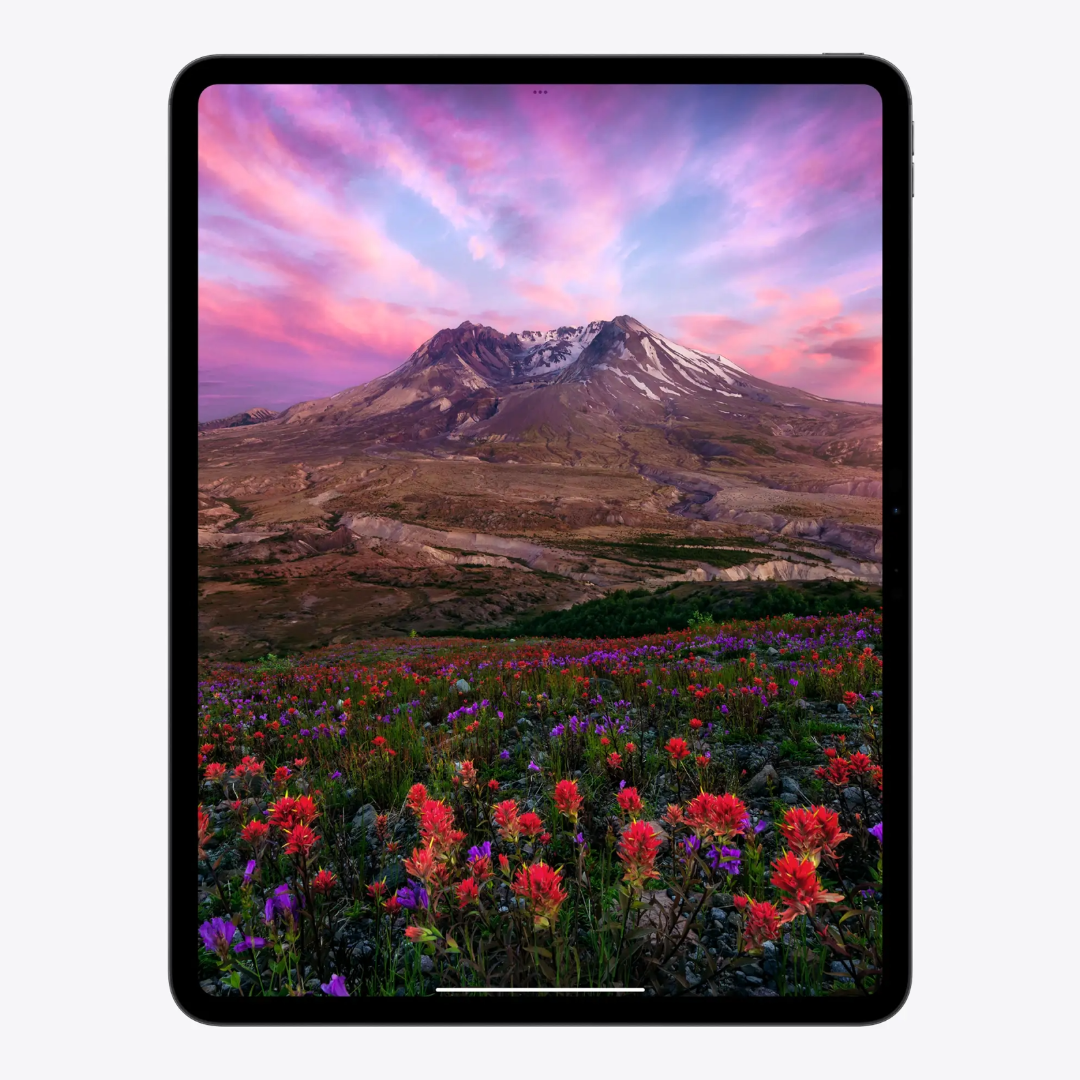 Apple iPad Pro 11", WiFi Cellular Chip M4, RAM 8 GB, 256 GB Negro Espacial
