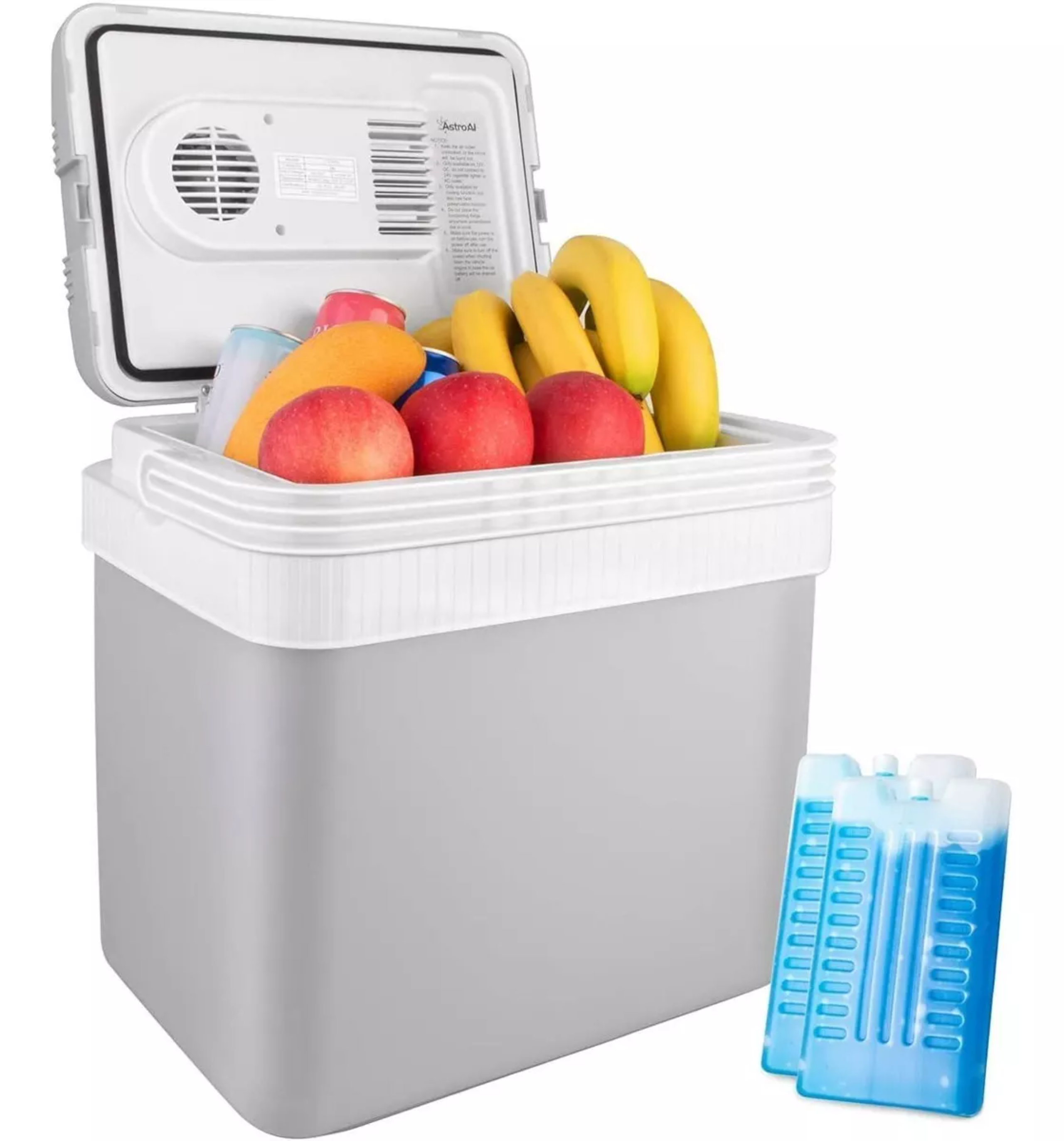 Hielera Camping Hielera Portátil Neveras Portátiles Mini Refrigerador Freezer Gris Para Autos Enchufe Dc