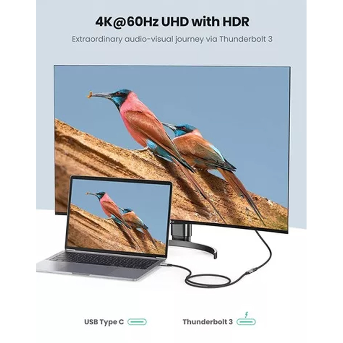 Cable Extensión Tipo C 3.1 / 1metro Gen 2 Thunderbolt 3 Black