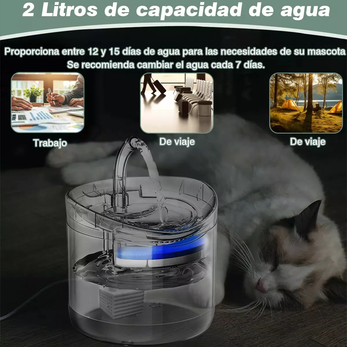 Bebedero Automático con Inducción - Hidratación Inteligente para Perros y Gatos