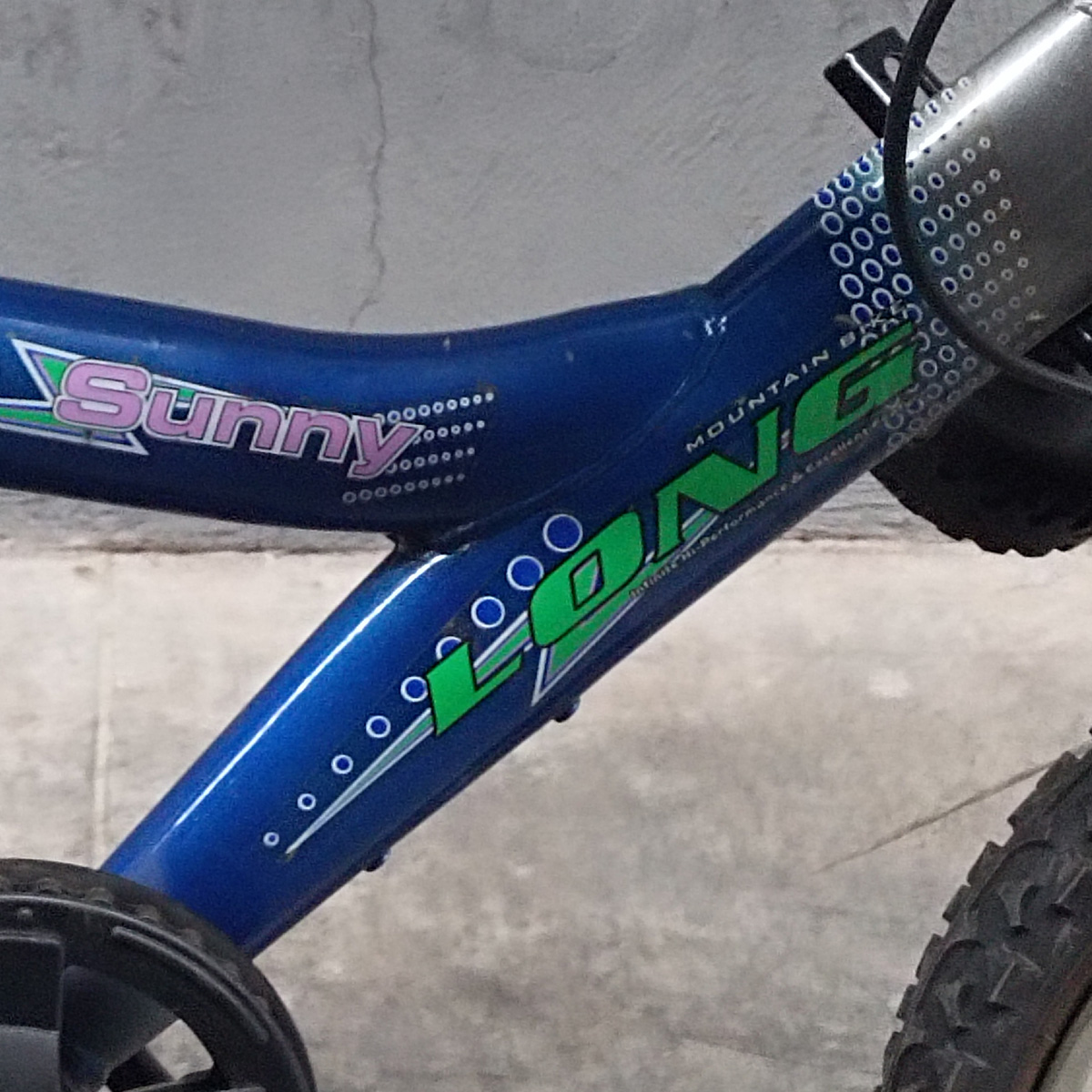 Bicicleta Veloci Reacondicionado Sunny Long R16 Azul