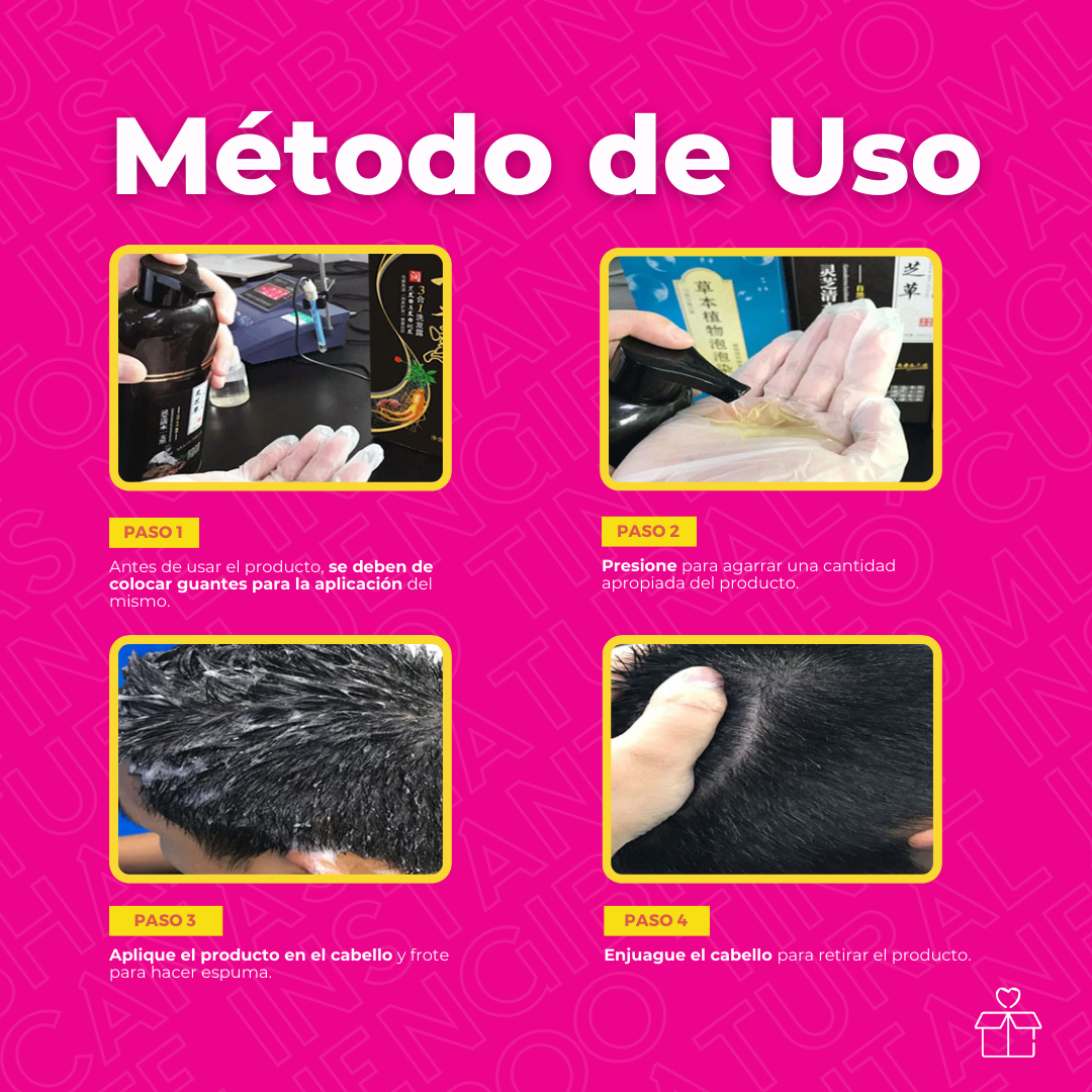Shampoo Tinte Instantaneo Cubre Canas Natural Jengibre 500ml Negro