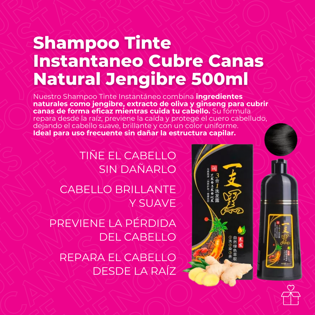 Shampoo Tinte Instantaneo Cubre Canas Natural Jengibre 500ml Negro