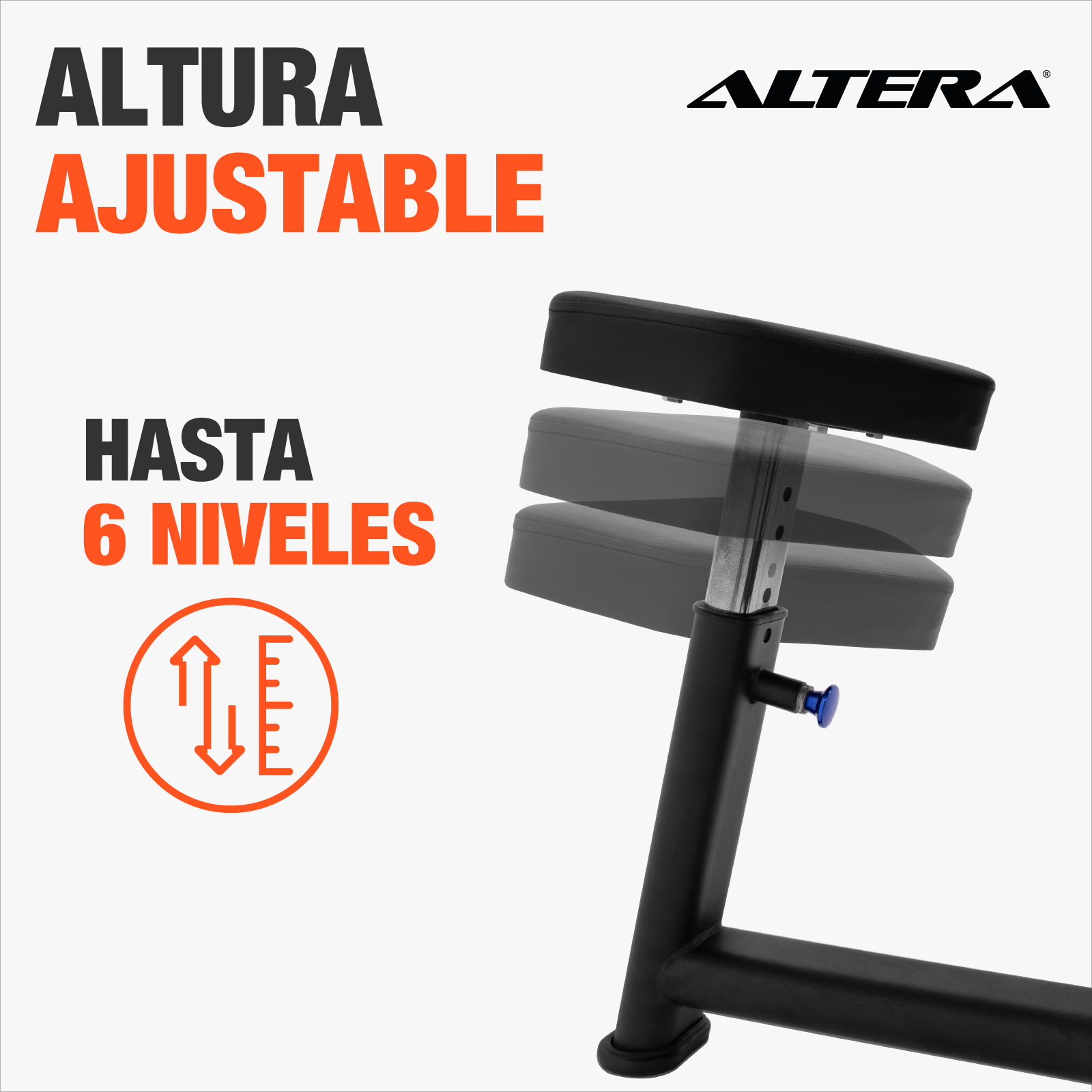 Banco Scott Predicador Altera Ejercicio Curl Ajustable Color Negro