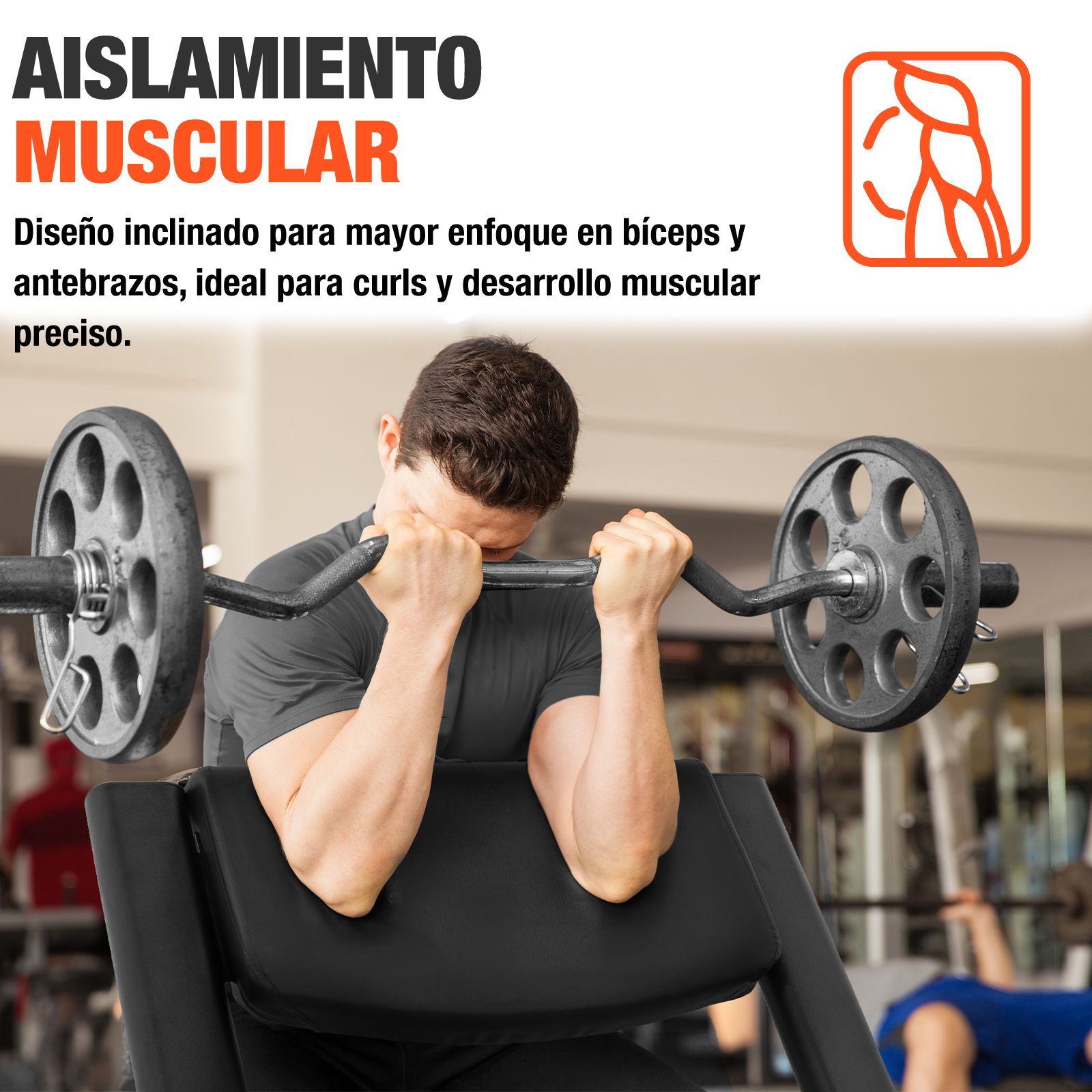 Banco Scott Predicador Altera Ejercicio Curl Ajustable Color Negro