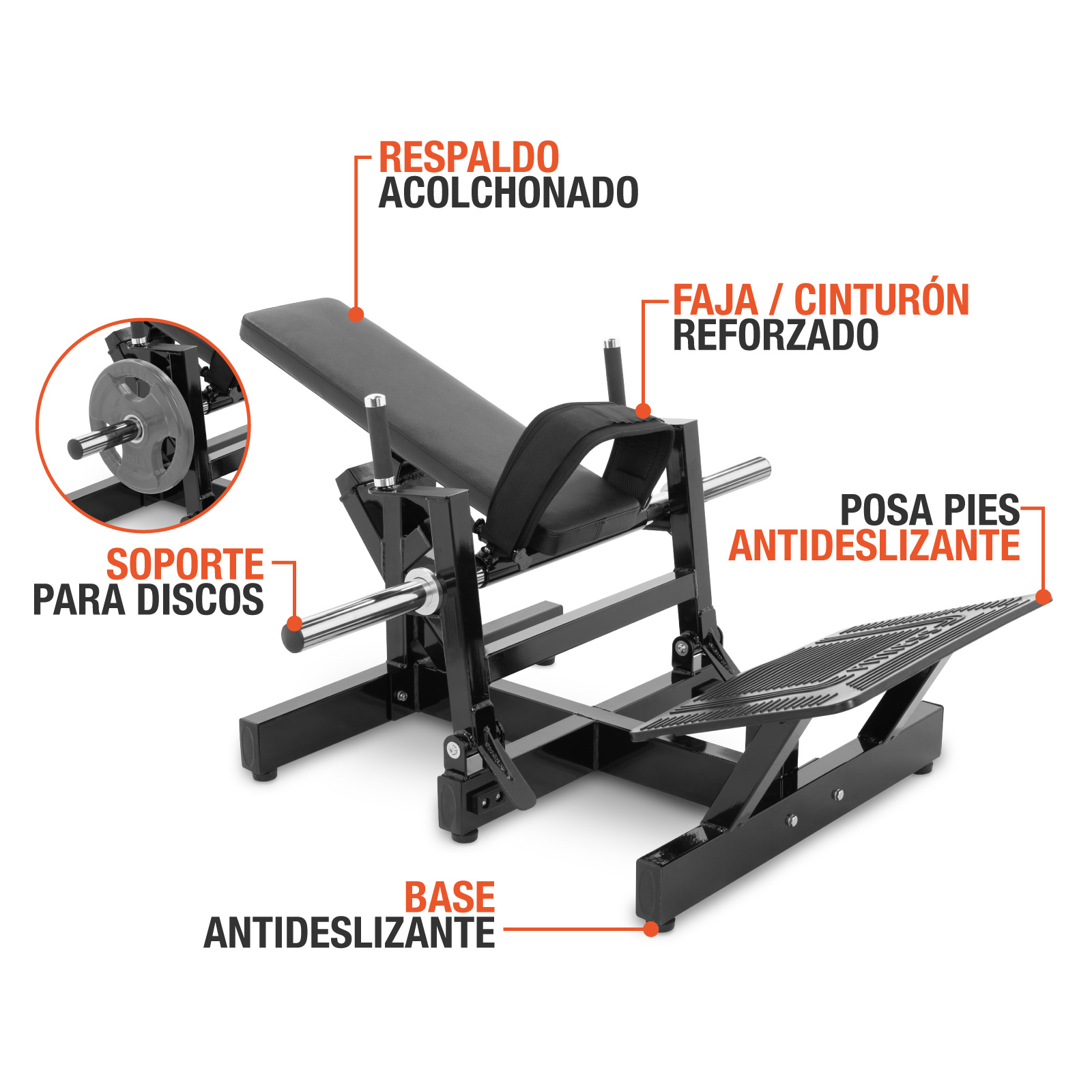Altera Maquina Para Piernas Equipo De Entrenamiento