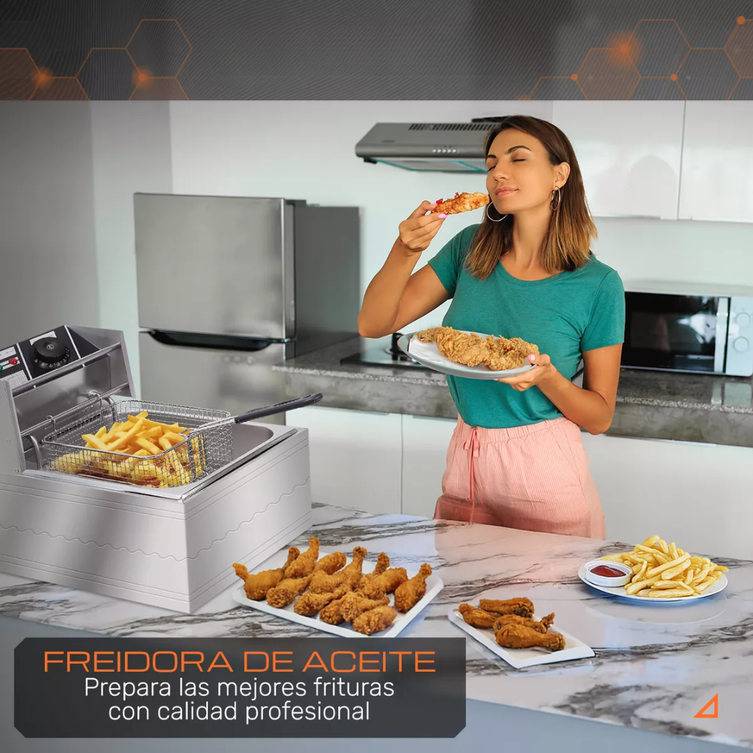 Freidora Aceite Eléctrica 1600w 6lt Industrial Acero Blick