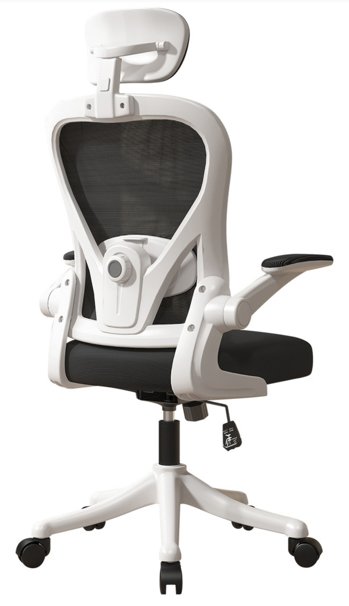 Silla Amia Ergonómica De Escritorio Oficina Soporte Lumbar Elástico Giratoria