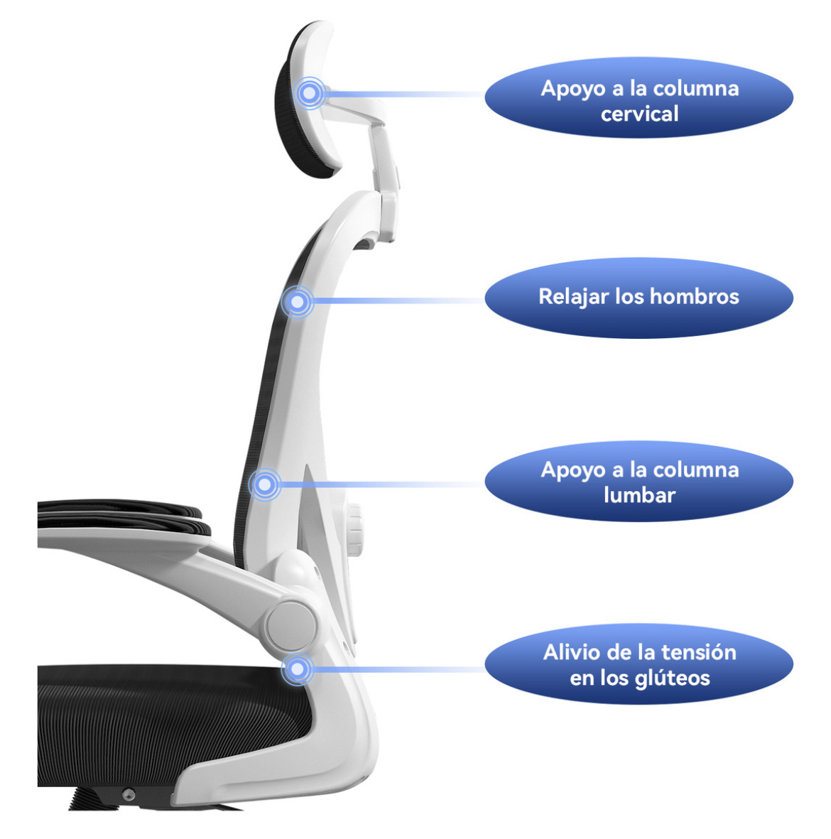 Silla Amia Ergonómica De Escritorio Oficina Soporte Lumbar Elástico Giratoria