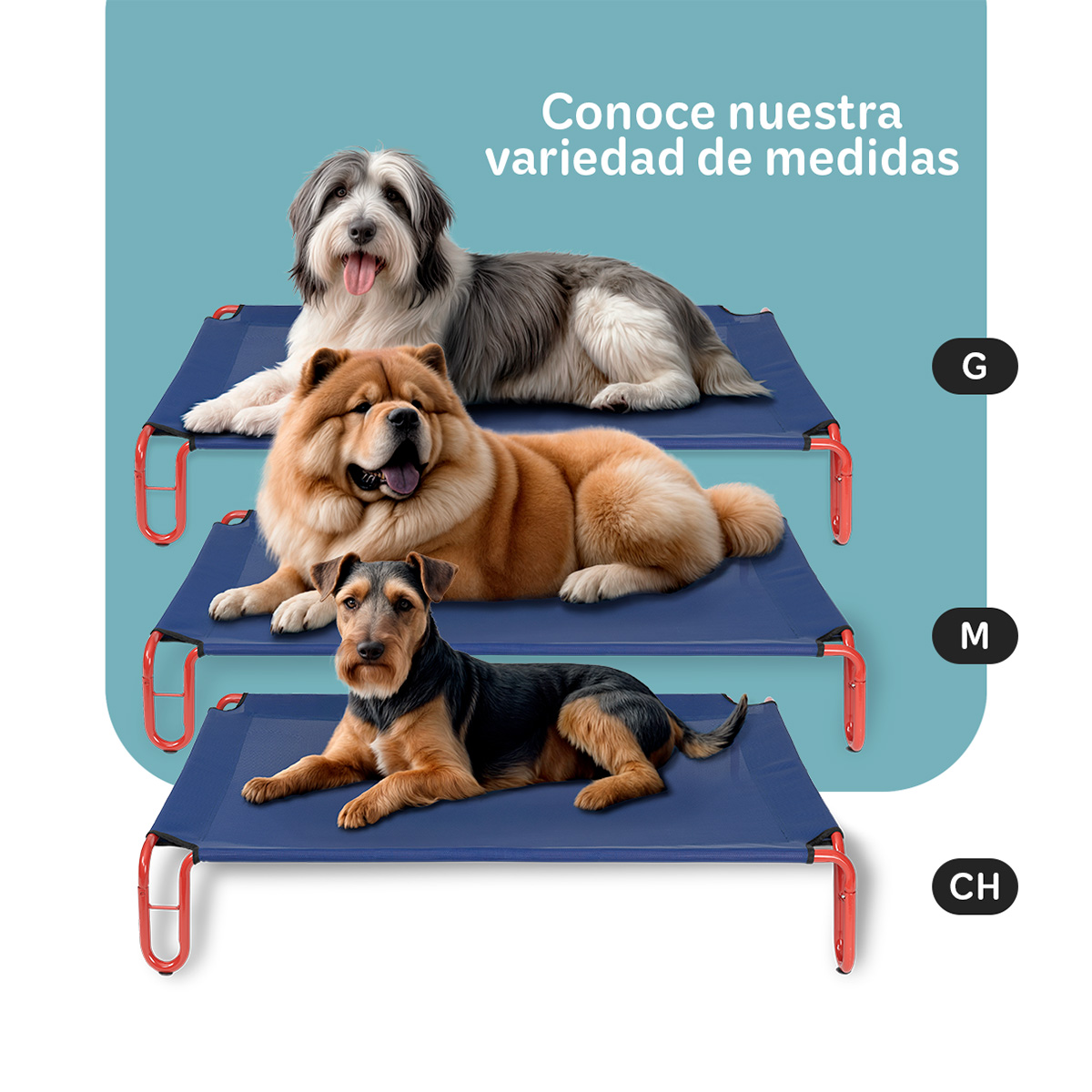  Cama Elevada para Perro Chico con Malla Transpirable ideal en Calor, Catre de Mascotas para Interior y Exterior Color Azul / Rojo. ESQUIMAL