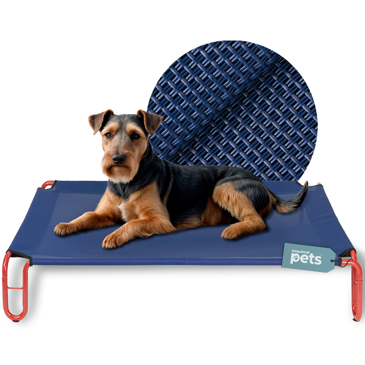  Cama Elevada para Perro Chico con Malla Transpirable ideal en Calor, Catre de Mascotas para Interior y Exterior Color Azul / Rojo. ESQUIMAL