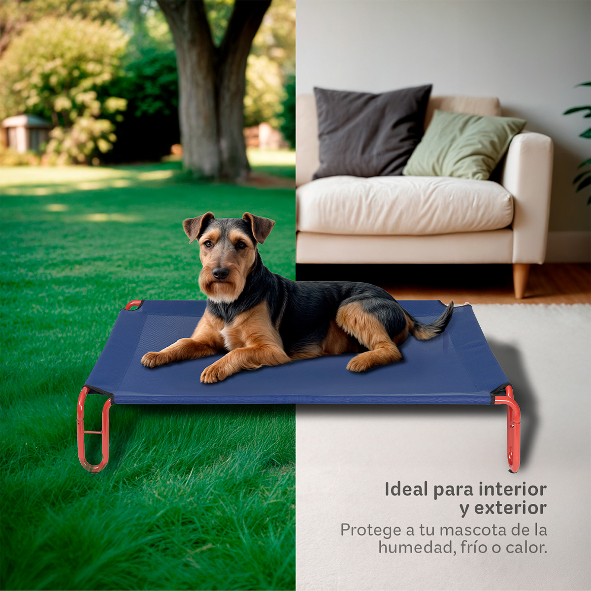  Cama Elevada para Perro Chico con Malla Transpirable ideal en Calor, Catre de Mascotas para Interior y Exterior Color Azul / Rojo. ESQUIMAL