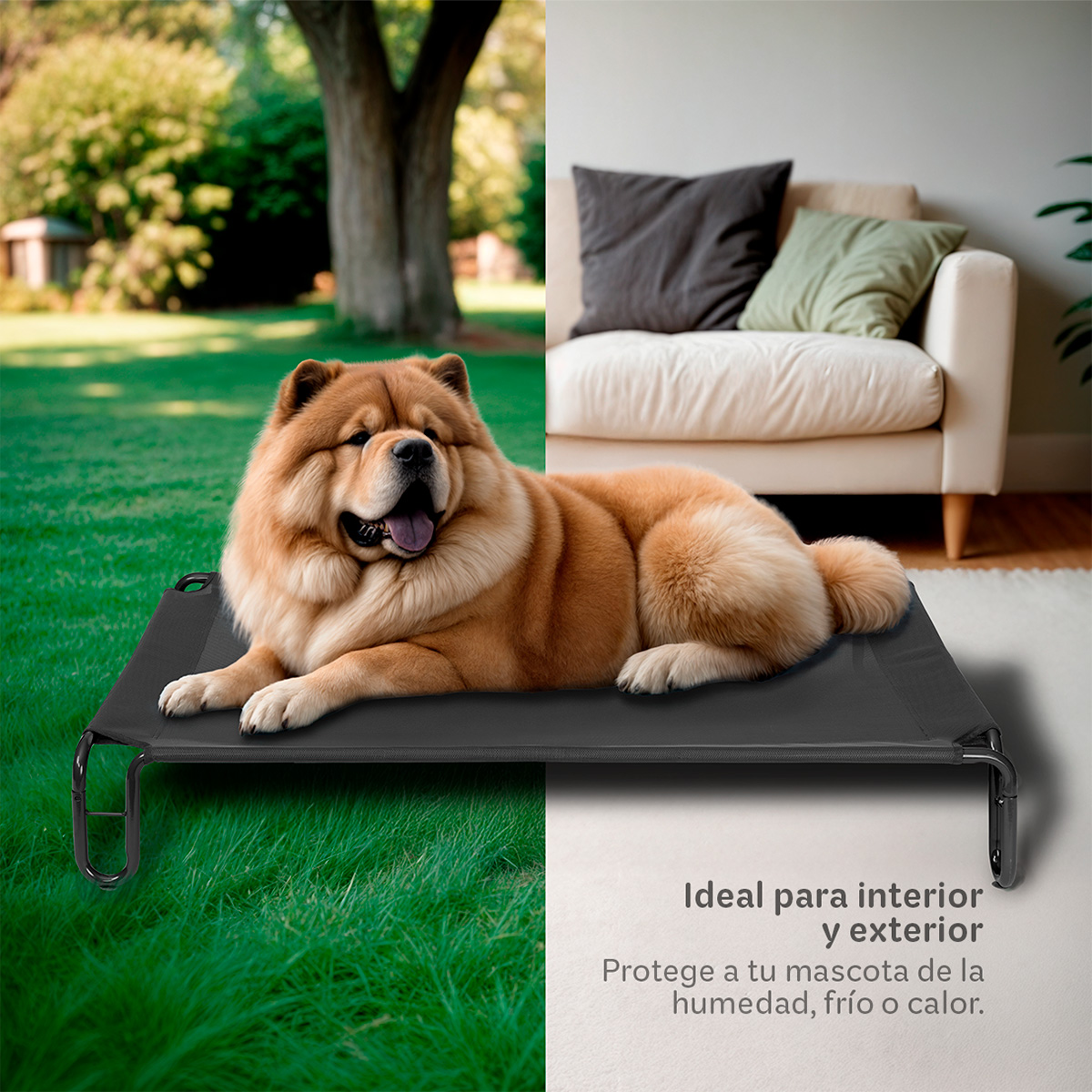 Cama Elevada para Perro Mediano con Malla Transpirable ideal en Calor, Catre de Mascotas para Interior y Exterior Color Negro. ESQUIMAL